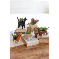 Trinx Desberg 5-Piece Ceramic Pot Planter Set