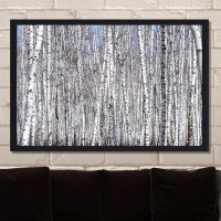 Made in Canada - Picture Perfect International "Birching Around 2" Framed Photographic Print