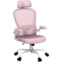 Silybon Office Chair, High Back Ergonomic Desk Chair, Breathable Mesh Desk Chair With Adjustable Lumbar Support And Head