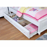 Charlton Home Haswell Trundle Unit