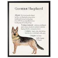 Trinx Watercolor German Shepherd On Paper Print