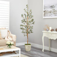 Primrue 70In. Olive Artificial Tree In Country White Planter