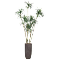 Vintage Home 118"H Vintage Real Touch Dragon Tree, Indoor/ Outdoor,  In Pot With Rope Basket (46X46x98"H)