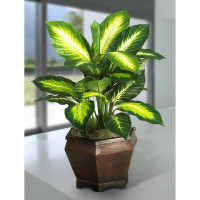 Bay Isle Home™ 20.5" Artificial Silk Golden Dieffenbachia Desk Top Foliage Plant in Planter