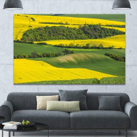 Made in Canada - Design Art 'Rapeseed Fields and Green Wheat' Photographic Print on Wrapped Canvas