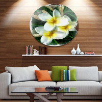 Made in Canada - Design Art 'Cute Frangipani Flowers Watercolor' Oil Painting Print on Metal