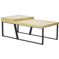 Lipoton Rectangular Wooden Coffee Table with Metal Frame