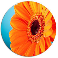 Made in Canada - Design Art 'Orange Daisy Gerbera Flower Close up' Graphic Art Print on Metal