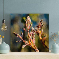 Red Barrel Studio Brown And Green Plant In Tilt Shift Lens - 1 Piece Rectangle Graphic Art Print On Wrapped Canvas