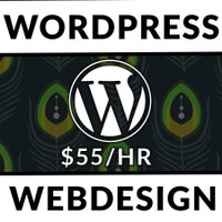$55/hr Website and Graphic Design