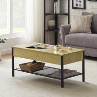 17 Stories TDC Wood Lift-Top Storage Coffee Table