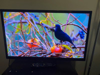 Used 32 Insignia NS-32D20SNA14  LED TV with HDMI 1080p for Sale, Can Deliver