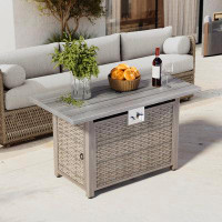 eVita 25.2'' H x 43'' W Propane Outdoor Fire Pit Table