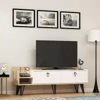 East Urban Home Medrano TV Stand for TVs up to 65"