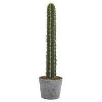Primrue 32" Cactus Plant in Planter