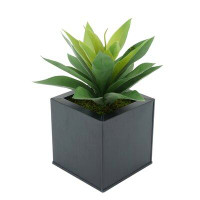 Latitude Run® 7'' Artificial Succulent Plant in Pot