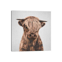 East Urban Home Highland Calf by Gal Design - Wrapped Canvas Gallery-Wrapped Canvas Giclée