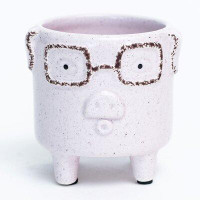 Trinx Footed Pink Pig Wearing Glasses Planter