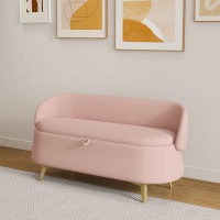 Toeasliving 50 inchesMulti-functional long rectangular bed end storage sofa stool teddy fleece