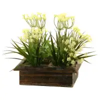 Ophelia & Co. Desktop Flowering Grass in Planter