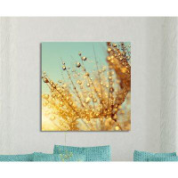 Made in Canada - Picture Perfect International 'Dewy Dandelion Flower at Sunrise Close Up B' Photographic Print on Wrapp
