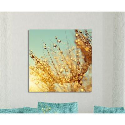 Made in Canada - Picture Perfect International 'Dewy Dandelion Flower at Sunrise Close Up B' Photographic Print on Wrapp in Home Décor & Accents