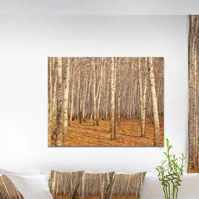 This 'Dense Birch Forest in the Fall' Photograph is printed using the highest quality fade resistant...