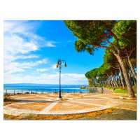 Made in Canada - Design Art 'Esplanade and Pine Trees in Bolsena' Photographic Print on Wrapped Canvas