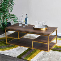 Everly Quinn Multi-Tiered Coffee Table