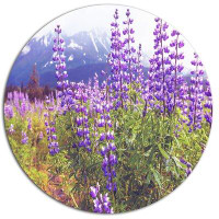 Design Art 'Meadow in Alaska with Purple Flowers' Photographic Print on Metal