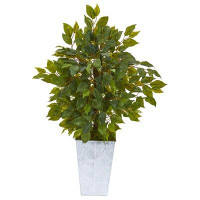 Ebern Designs 17" Artificial Ficus Plant in Planter