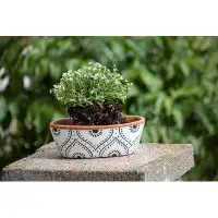 Bungalow Rose Natural Handthrown Terracotta Pot Planter