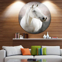 Design Art 'Lovely White Horse' Graphic Art Print on Metal