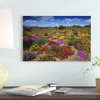 East Urban Home 'Dewflowers and Other Blooms, Little Karoo, South Africa' Photographic Print on Wrapped Canvas
