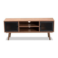 Lefancy.net Lefancy  Yuna Mid-Century Modern Transitional  Finished Wood and Black Metal 2-Door TV Stand