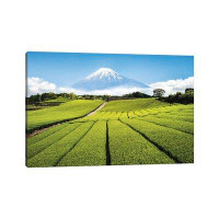 East Urban Home Green Tea Plantation and Mount Fuji by Jan Becke - Wrapped Canvas Photograph Print
