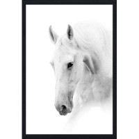 Picture Perfect International "Lone Ranger" Framed Photographic Print