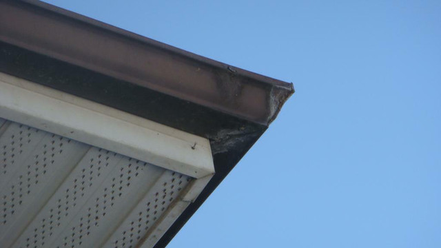 Leaking gutters getting to you? Have us Install New 5 Continuous Eavestroughing, Soffit & Fascia or Siding in Roofing in Edmonton Area - Image 2