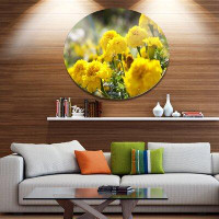Design Art 'Bright Yellow Marigold Flowers' Photographic Print on Metal