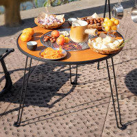 Bungalow Rose Kamrun 18.9" H x 23.62" W Cast Iron Charcoal Wood Burning Outdoor Fire Pit Table with Lid