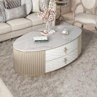 BETTER HOME STYLE LLC Light luxury style modern coffee table