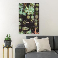 Foundry Select Cactus Plant Lot - 1 Piece Rectangle Graphic Art Print On Wrapped Canvas