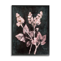 Stupell Industries Stupell Industries Abstract Lilac Plant Framed Giclee Art Design By Pernille Folcarelli
