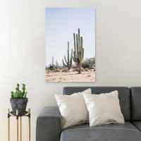 Foundry Select Cactus Plants On Field During Daytime - Wrapped Canvas Painting