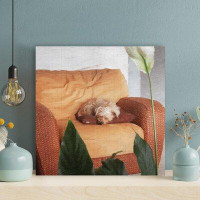 Latitude Run® Brown Long Coated Dog On Orange Couch - 1 Piece Rectangle Graphic Art Print On Wrapped Canvas