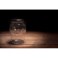 Ebern Designs Three Fireflies Caught In A Glass Jar On Wooden Table