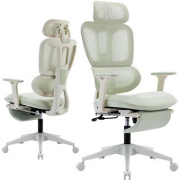Hokku Designs Ergonomic Office Chair With Footrest, High Back Computer Office Chair With Dynamic Lumbar Support, 2d Head