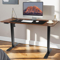 17 Stories Electric Standing Desk Adjustable Height 55" X 24" Home Office Ergonomic Workstation Steel Frame