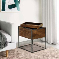 17 Stories 22 Inch Modern Square Accent Table, Removable Tray Top With Storage, Brown