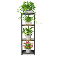 Latitude Run® 4 Tier Tall Plant Stand Indoor Outdoor, Metal Iron Heavy Duty Flower Display Holders Rack Shelf, Black